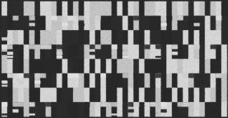 Texture Pattern Special Edition #16